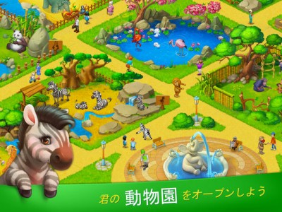 タウンシップ (Township)