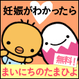 まいにちのたまひよ