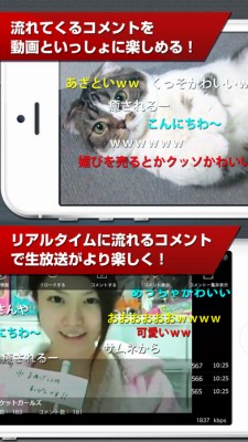 niconico