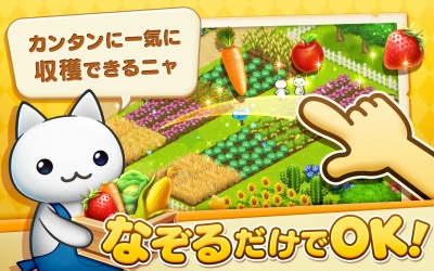 ほしの島のにゃんこ
