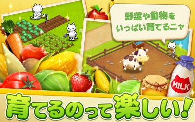 ほしの島のにゃんこ